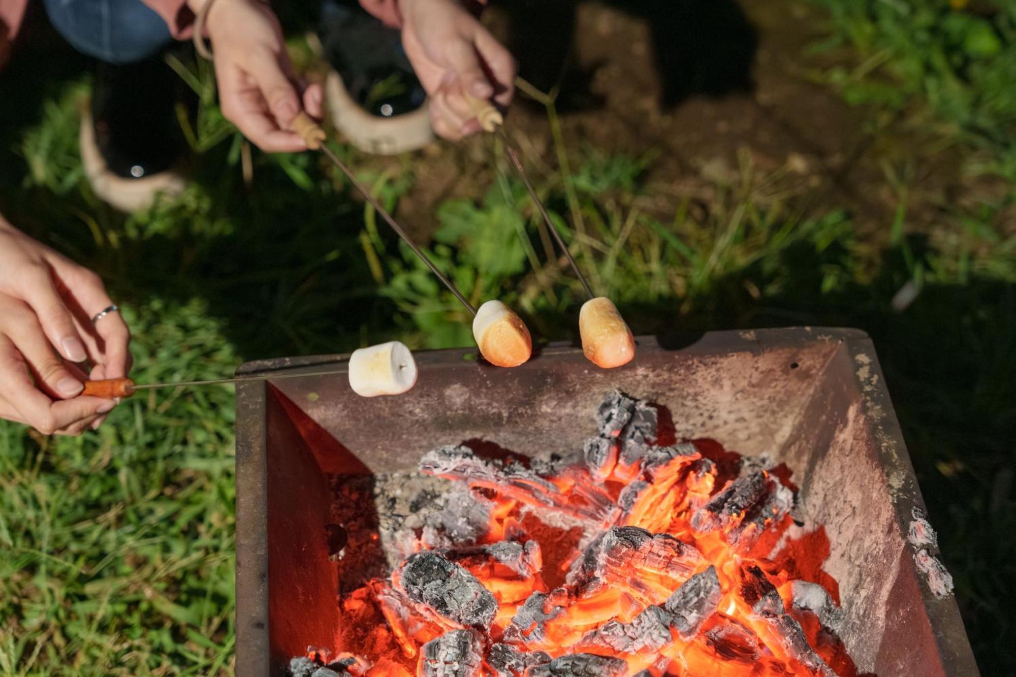בית הארחה פוג'יקאוואגוצ'יקו 	Mount Fuji Panorama Glamping מראה חיצוני תמונה